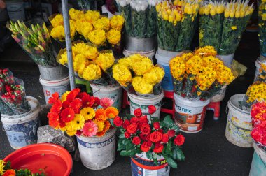 Çiçek pazarında birçok farklı çiçek satışı türü var. Nha Trang, Vietnam - 13 Aralık 2024.