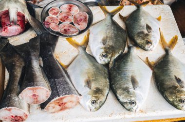 Vietnam 'daki Asya deniz ürünleri pazarında taze balık yakalamak için.