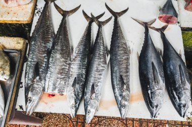 Taze balık yakaladım. Soğuk Kral Uskumru ve Ton Balığı Vietnam 'daki Asya Deniz Ürünleri Pazarı' nın tezgahında.