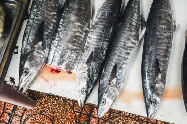 Taze balık yakaladım. Soğuk Kral Uskumru Vietnam 'daki Asya Deniz Ürünleri Pazarı' nın tezgahında.
