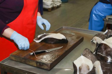 Balık fabrikası. Yüksek kalite fotoğraf