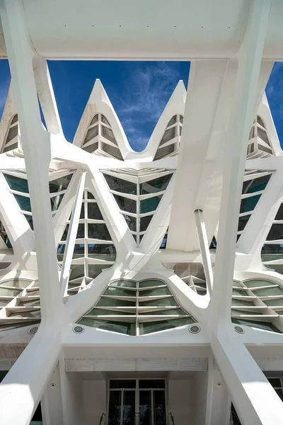 stock image Symmetry in the City of Arts and Sciences, Valencia