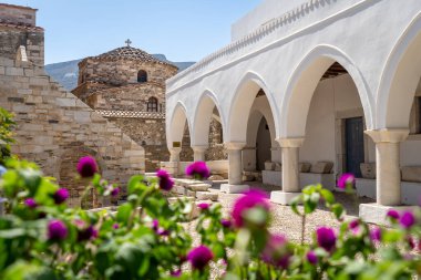 Paros 'taki Panagia Ekatontapiliani avlusunda çiçekler