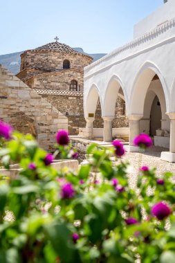Paros 'taki Panagia Ekatontapiliani avlusunda çiçekler