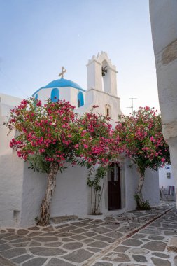 Parikia 'da küçük bir kilise, Paros, mavi kubbe ve bougainvillea