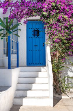 İspanya, Beyaz Cephe 'de Bougainvillea ile Mavi Kapı' ya çıkan merdiven