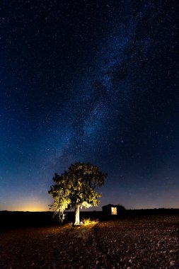 Samanyolu Ağacı ve Terkedilmiş Hayvancılık Kuzey Teruel, İspanya 'da