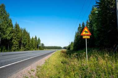 Fin Yolu Yazın Ağaçlarla çevrili Geyik Uyarı Tabelasıyla