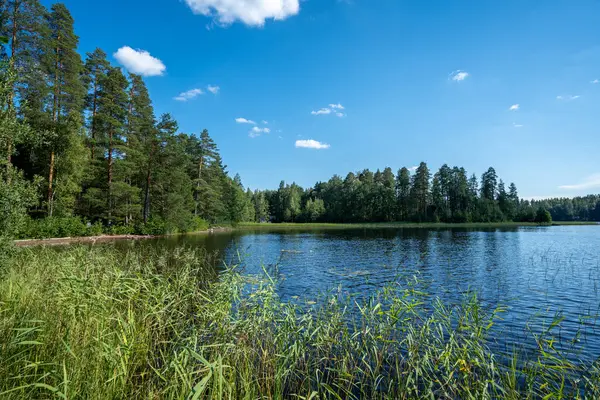 stock image Typical Finnish Lake in Summer on a Sunny Day