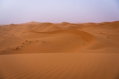 Erg Chebbi Çölü, Fas 'taki Yalnız Kumulların Panoramik Görünümü