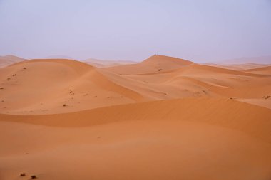 Erg Chebbi Çölü, Fas 'taki Yalnız Kumulların Panoramik Görünümü