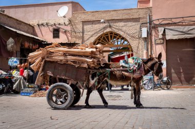 Marakeş, Fas 'ta küçük bir meydanda içi deri dolu bir araba taşıyan eşek.