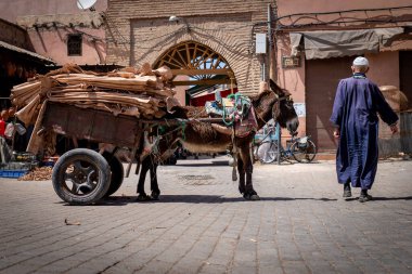Küçük bir Marakeş Meydanında Eşek ve Derilerle dolu Arabalı Tanımlanamayan Müslüman Adam