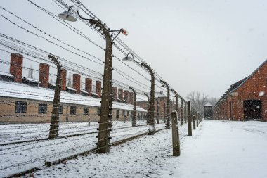 Karlı bir kış günü Polonya 'da ölüm tehdidiyle karşı karşıyayız.