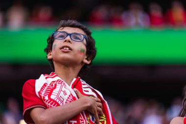 Portekiz ve Bosna-Hersek milli takımları arasında Estadio Da Luz, Lizbon, Portekiz 'de oynanan UEFA Euro 2024 ön eleme maçındaki taraftarlar. (Maciej Rogowski)