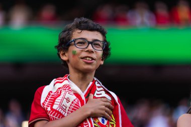 Portekiz ve Bosna-Hersek milli takımları arasında Estadio Da Luz, Lizbon, Portekiz 'de oynanan UEFA Euro 2024 ön eleme maçındaki taraftarlar. (Maciej Rogowski)