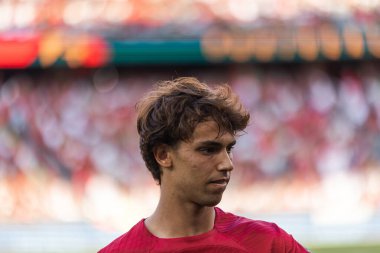 Portekiz ve Bosna-Hersek milli takımları arasında Estadio Da Luz, Lizbon, Portekiz 'de oynanan UEFA Euro 2024 ön eleme maçı sırasında Joao Felix. (Maciej Rogowski)