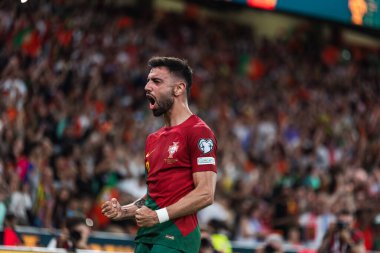Bruno Fernandes, Portekiz ve Bosna-Hersek milli takımları arasında oynanan UEFA Euro 2024 ön eleme maçında Portekiz 'in Lizbon kenti Estadio Da Luz' da gol attıktan sonra bunu kutluyor. (Maciej Rogowski)