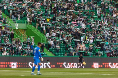 Liga Portekiz 2022 / 23 maçında taraftarlar Estadio Jose Alvalade, Lizbon, Portekiz 'deki Sporting CP ve CS Maritimo arasında. (Maciej Rogowski)
