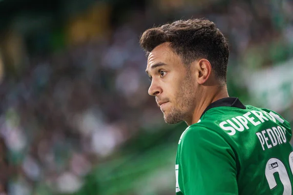 Pedro Goncalves Liga Portugal Game Sporting Moreirense Estadio Jose  Alvalade – Stock Editorial Photo © mrogowski_photography #676747364