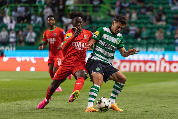 stock image Felix Correia in a duel with Pedro Goncalves during  Liga Portugal 2022/23 game between Sporting CP and  CS Maritimo at  Estadio Jose Alvalade, Lisbon, Portugal. (Maciej Rogowski)