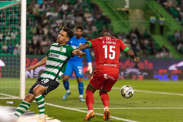 Pedro Goncalves Liga Portugal Game Sporting Moreirense Estadio Jose  Alvalade – Stock Editorial Photo © mrogowski_photography #676747364