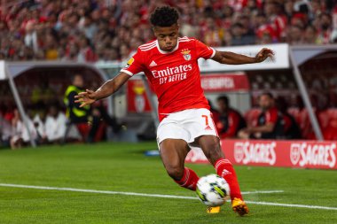 Portekiz 'deki Estadio Da Luz, Lisboa' da SL Benfica ve SC Braga arasında oynanan Liga 2022 / 23 maçında David Neres. (Maciej Rogowski)