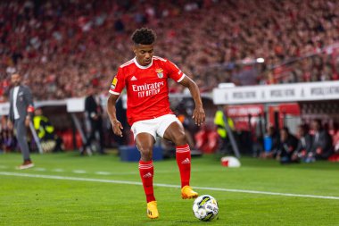 Portekiz 'deki Estadio Da Luz, Lisboa' da SL Benfica ve SC Braga arasında oynanan Liga 2022 / 23 maçında David Neres. (Maciej Rogowski)
