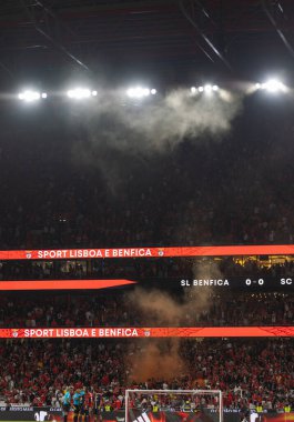 Liga Portekiz 2022 / 23 maçında SL Benfica ve SC Braga arasında oynanan Estadio Da Luz, Lisboa, Portekiz 'deki taraftarlar. (Maciej Rogowski)