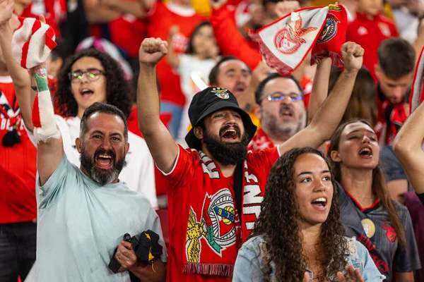 Aficionados Durante Partido Liga Portugal 2022 Entre Benfica Braga Estadio — Foto de Stock