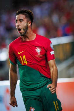Goncalo Inacio, UEFA Euro 2024 eleme maçında Portekiz ve Lüksemburg milli takımları arasında Faro 'nun Estadio Algarve kentinde attığı golü kutlar. (Maciej Rogowski)