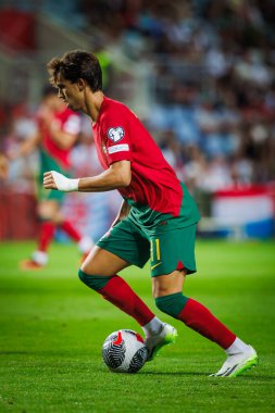 Joao Felix UEFA Euro 2024 eleme maçında Portekiz ve Lüksemburg milli takımları arasında Estadio Algarve, Faro 'da oynandı. (Maciej Rogowski)