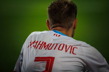 Estadio Algarve, Faro 'daki Portekiz ve Lüksemburg milli takımları arasında oynanan UEFA Euro 2024 ön eleme maçında Enes Mahmutoviç. (Maciej Rogowski)