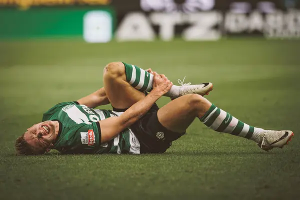Liga Portekiz maçında Viktor Gyokeres, Portekiz 'in başkenti Lizbon' da Estadio Jose Alvalade 'de Sporting CP ile Moreirense FC arasında 23 / 24 maç yaptı. (Maciej Rogowski)