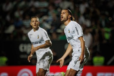 Mattheus Oliveira, Liga Portugal Betclic maçında SC Farense ile Sao Luis, Faro 'daki Sporting CP arasında attığı 23 / 24' lük golü kutluyor. (Maciej Rogowski)
