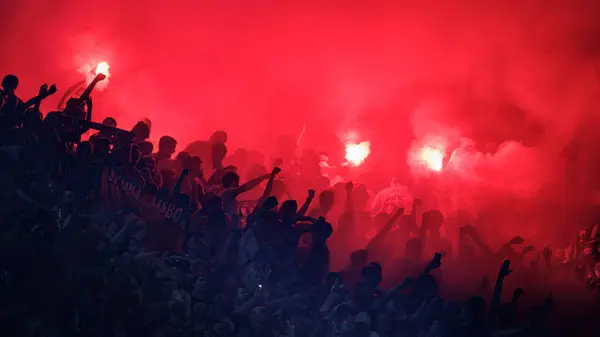 Aficionados Durante Liga Portugal Betclic Partido Entre Benfica Porto Estadio —  Fotos de Stock