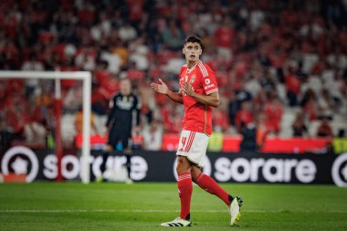 Antonio Silva during Liga Portugal Betclic 23/24 game between SL Benfica and FC Porto at Estadio Da Luz, Lisbon. (Maciej Rogowski) clipart