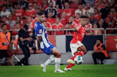 Lizbon 'un Estadio Da Luz şehrinde SL Benfica ile FC Porto arasında oynanan Liga Portekiz Betclic maçında X. (Maciej Rogowski)