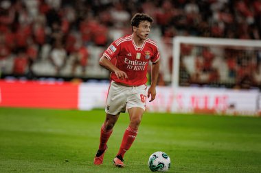 Lizbon 'un Estadio Da Luz şehrinde SL Benfica ile FC Porto arasında oynanan Liga Portekiz Betclic maçında X. (Maciej Rogowski)