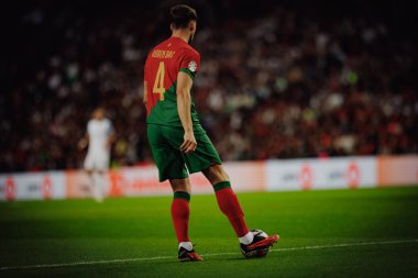 Ruben Dias UEFA Euro 2024 eleme maçında Portekiz ve Slovakya milli takımları arasında Estadio do Dragao, Porto 'da oynandı. (Maciej Rogowski)