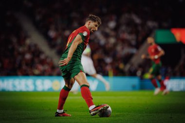 Ruben Dias UEFA Euro 2024 eleme maçında Portekiz ve Slovakya milli takımları arasında Estadio do Dragao, Porto 'da oynandı. (Maciej Rogowski)