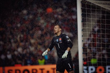 Martin Dubravka UEFA Euro 2024 eleme maçında Portekiz ve Slovakya milli takımları arasında Estadio do Dragao, Porto 'da oynanan maçta. (Maciej Rogowski)