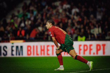 Joao Felix UEFA Euro 2024 eleme maçında Portekiz ve Slovakya milli takımları arasında Estadio do Dragao, Porto 'da oynandı. (Maciej Rogowski)