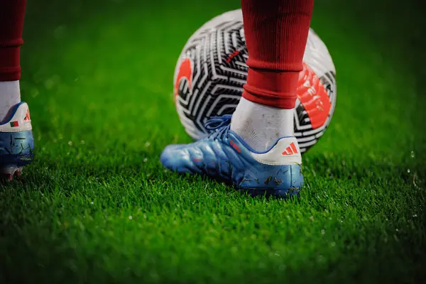 UEFA Euro 2024 eleme maçında Portekiz ve Slovakya milli takımları arasında Estadio do Dragao, Porto 'da oynanan Bernardo Silva. (Maciej Rogowski)