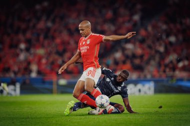 x UEFA Şampiyonlar Ligi sırasında SL Benfica ile Real Sociedad arasında oynanan maçta Estadio Da Luz, Lizbon, Portekiz 'de. (Maciej Rogowski)