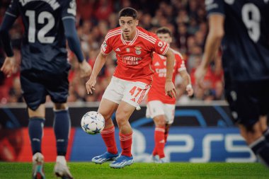 Tiago Gouveia UEFA Şampiyonlar Ligi 'nde SL Benfica ile Real Sociedad arasında oynanan 23 / 24 maçında Estadio Da Luz, Lizbon, Portekiz' de. (Maciej Rogowski)
