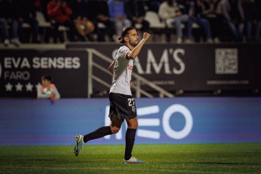 Mattheus Oliveira, Liga Portekiz 'de SC Farense ile FC Arouca, Estadio de Sao Luis, Faro, Portekiz arasında oynanan 23 / 24' lük maçta aldığı penaltıyı kutluyor. (Maciej Rogowski)