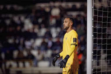 Wagner, Liga Portekiz maçında SC Farense ile CF Estrela Amadora, Estadio de Sao Luis, Faro, Portekiz arasında 23 / 24 maç yaptı. (Maciej Rogowski)