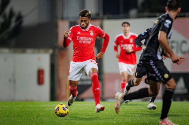 Gustavo Varela, Liga Portekiz 2 Sabseg maçında SL Benfica B ve CD Nacional arasında Benfica Campus, Seixal, Lizbon, Portekiz 'de oynandı. (Maciej Rogowski)