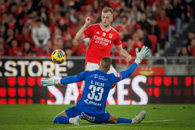 Casper Tengstedt, Ricardo Velho Liga Portekiz maçında SL Benfica ve SC Farense arasında Estadio Da Luz, Lizbon, Portekiz 'de oynandı. (Maciej Rogowski)